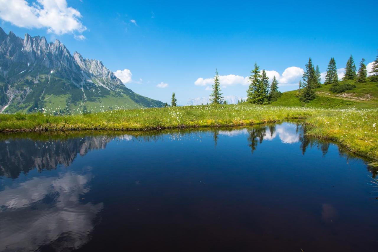 Mühlbach am Hochkönig شقق بيرغترام الفندقية المظهر الخارجي الصورة